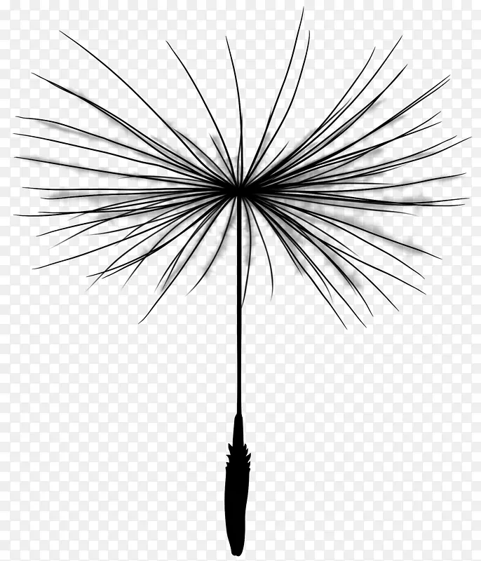 ������߶ԳƷ�֦-������