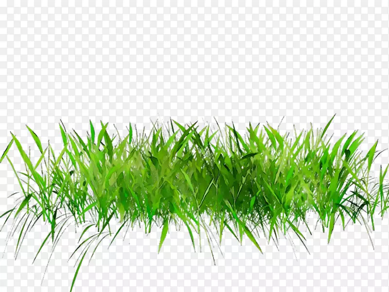 pngͼƬ��adobe��Photoshop�����ͣ�����ͼ-������