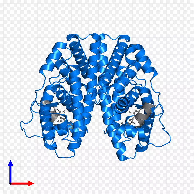 ������Ʒ�л���������-�Ƽ���˿-������