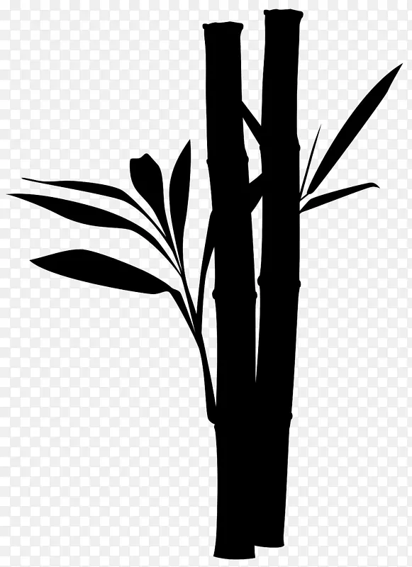 �¸�������ֲ�ﾥֲ��-������