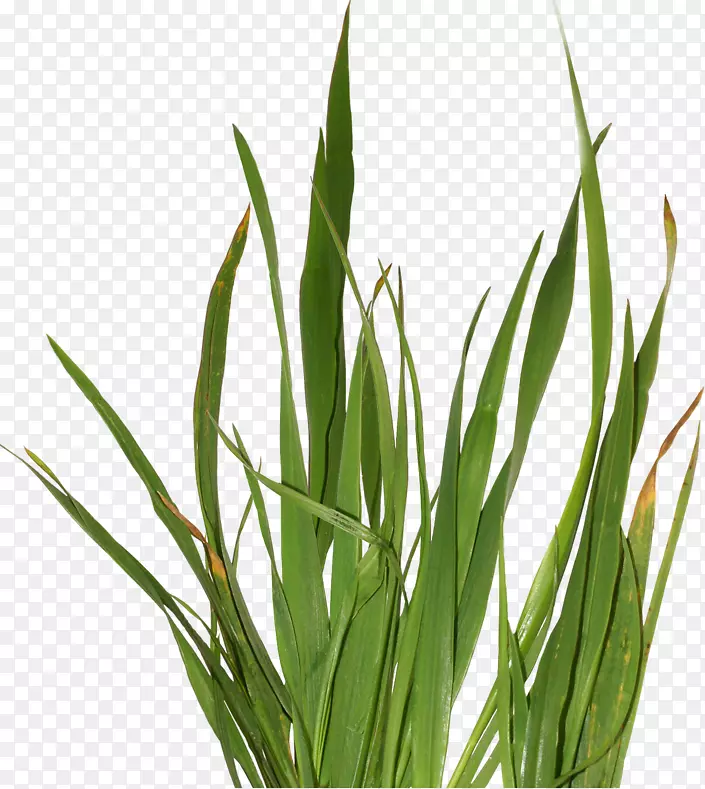 �������ݱ�ֲ����ݼ����ͼ��pngͼƬ.��-������