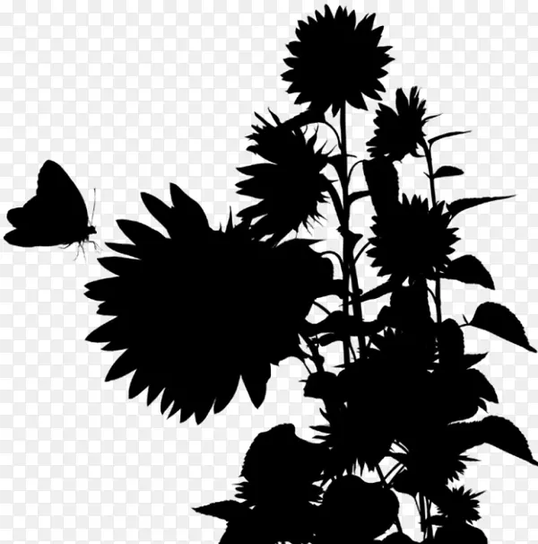 ����ֲ���Ӱ����Ҷ-������