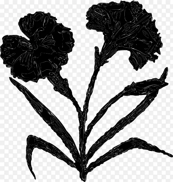 Ҷ�ӿ���ֲ��-������