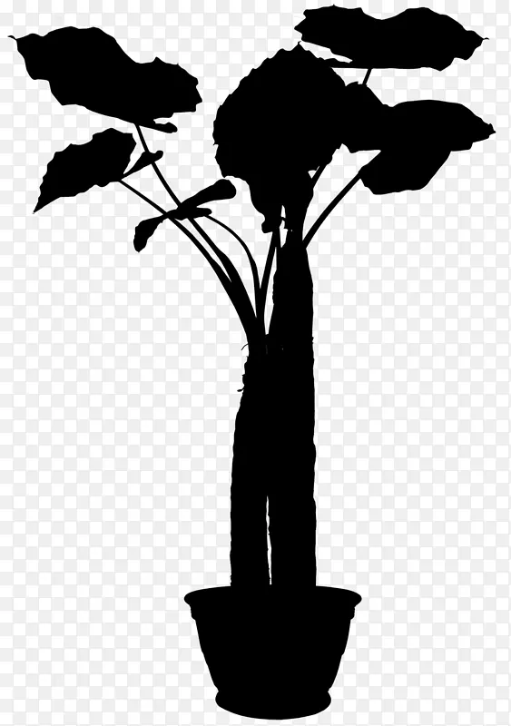 ֦Ҷֲ�ﾥ����-������