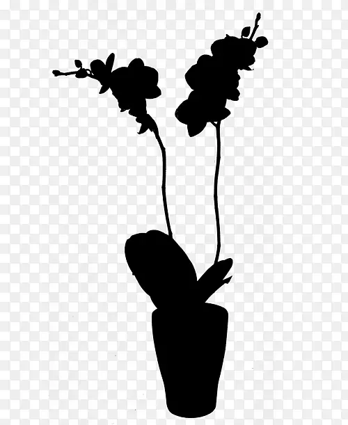 ����ֲ���ӰҶ��֦-������