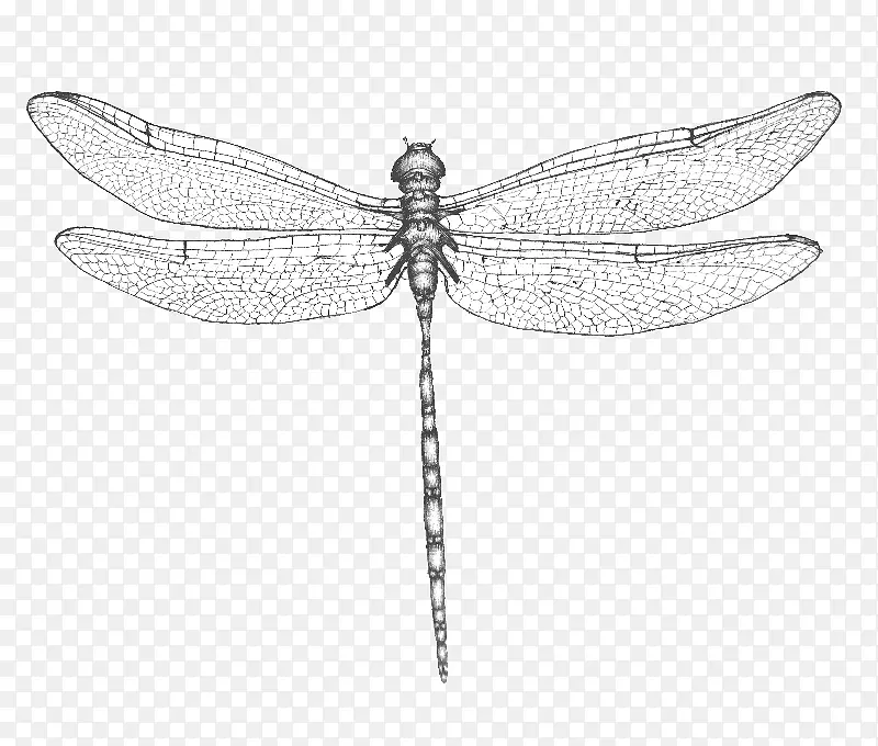 ���ѳ��t������ӡ����������-������