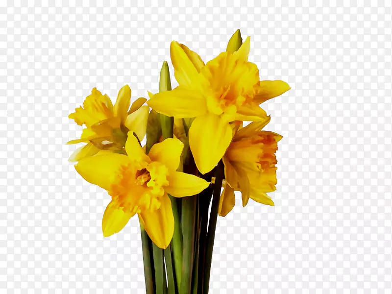 ��������л�����ֲ�ﾥ-������