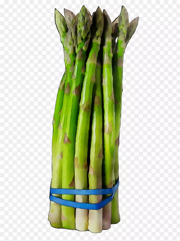 «��������«���߲�ʳƷ-������