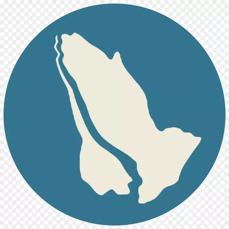 �ż����ذ�׿�����ȸ���Ϸ-����-������