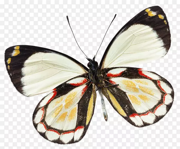 ���������������Ĳ���-������