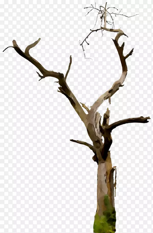 ϴ��ˮ�����ؿ������۶��׻���������-������