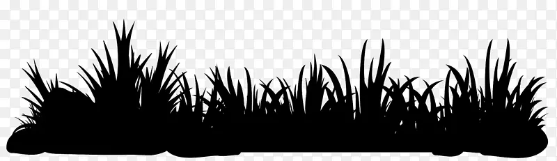 �����ֽ���Լ�Ӱ�����-������