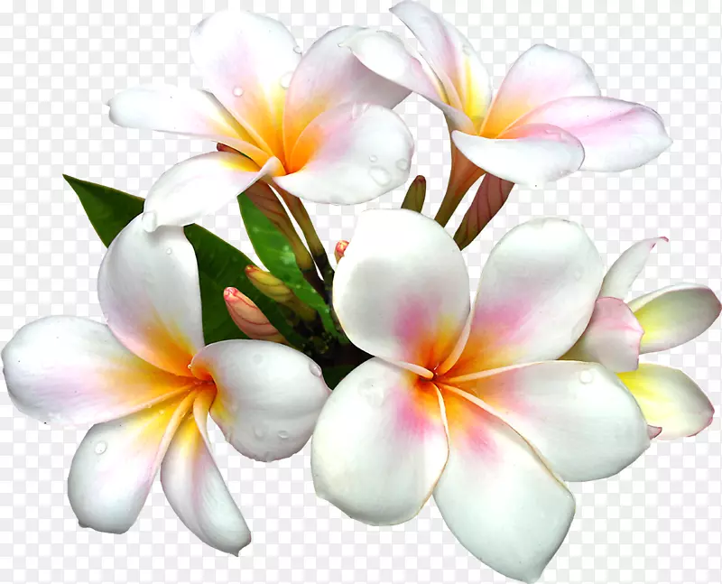 �ٺϻ�������.����Ʒ-������