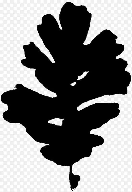 ��ľ��Ӱ����Ҷ����ֲ��-������