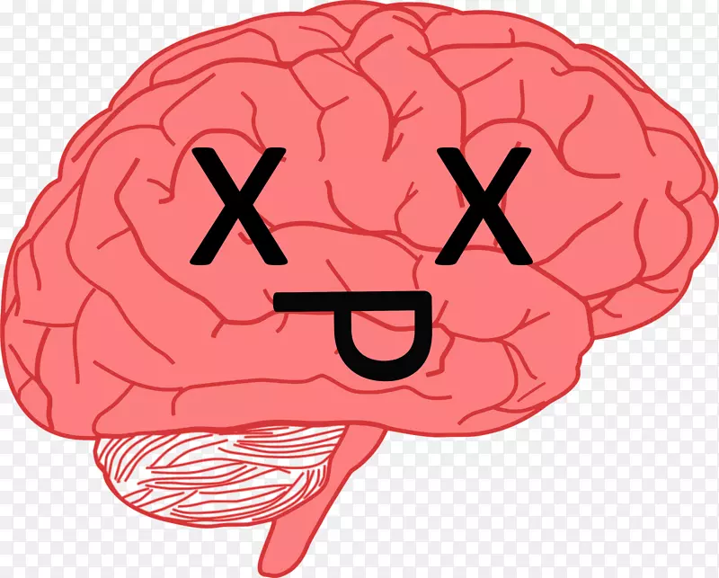 ���񾭿�ѧ��ͷ�л���-��-������