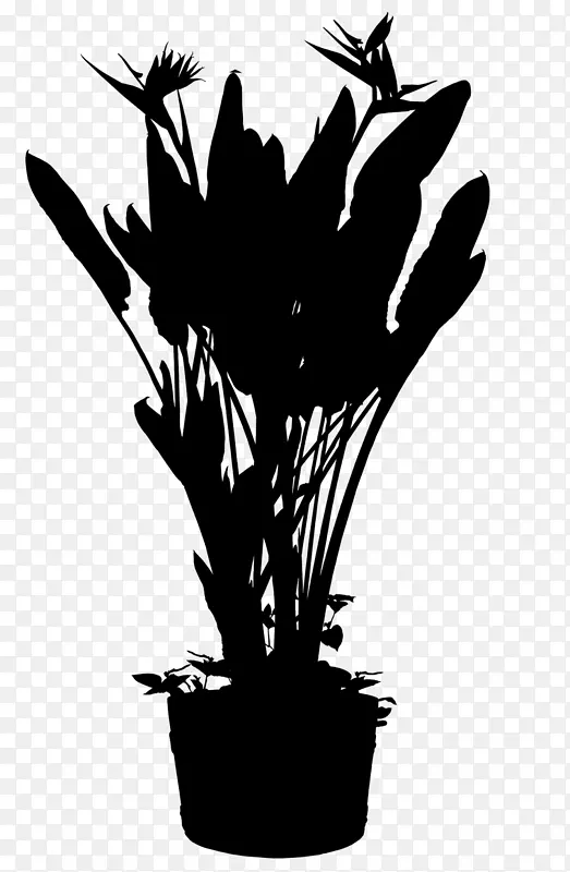 ����ֲ���ӰҶ��-������