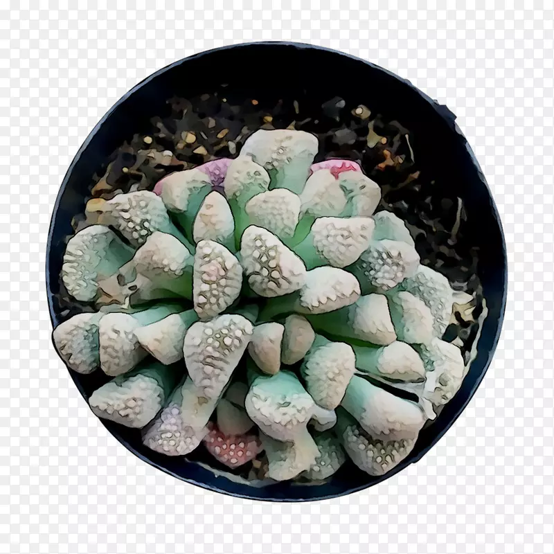 ���ϲ;�-������