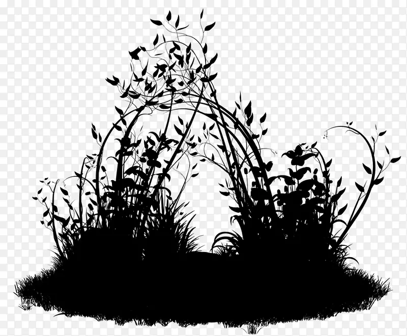 Bioparque la Reservaֲ����������԰����-������