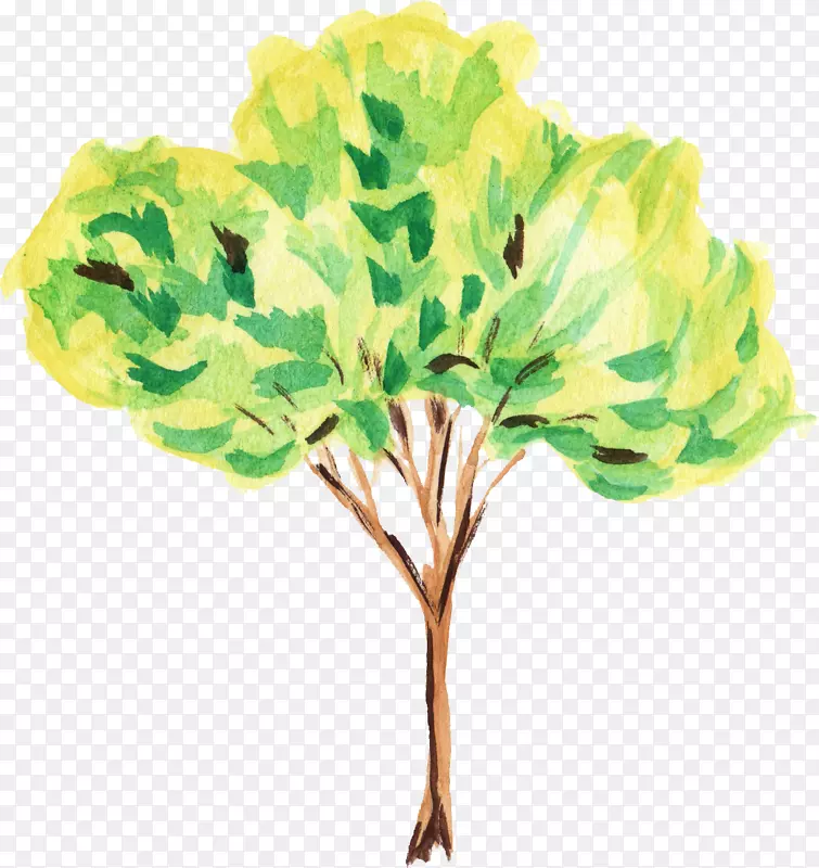 ��ľˮ�ʻ�����������ˮ�ʻ�Ҷ��-������