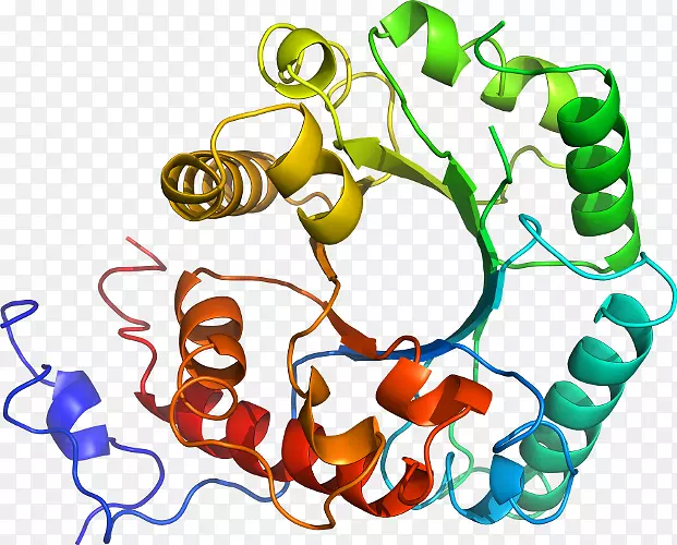 �������л���������Ϊ��Ʒ-com����-������