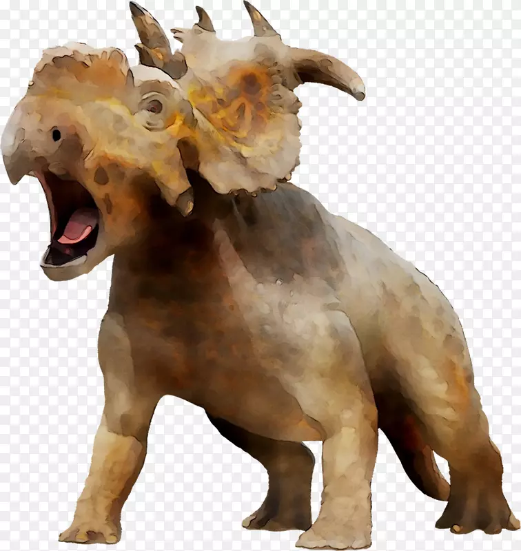 ����ֳ���Ա���-������