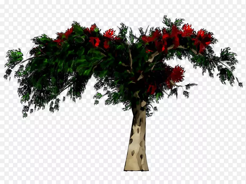 �����л�������ֲ�����ֲ���ľ-������