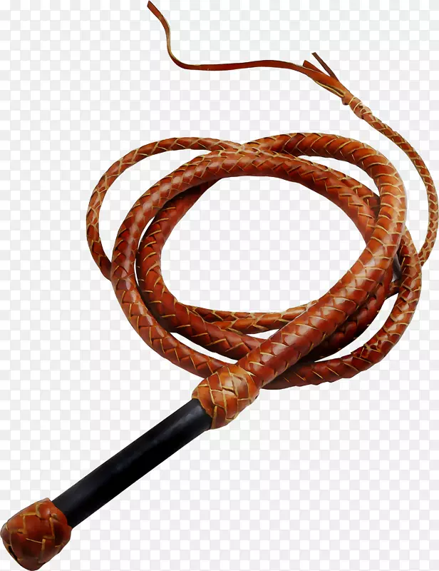 ��ɫS.A.-������