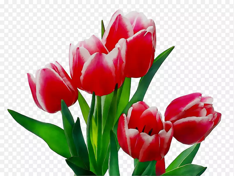 �л������㻨��-������