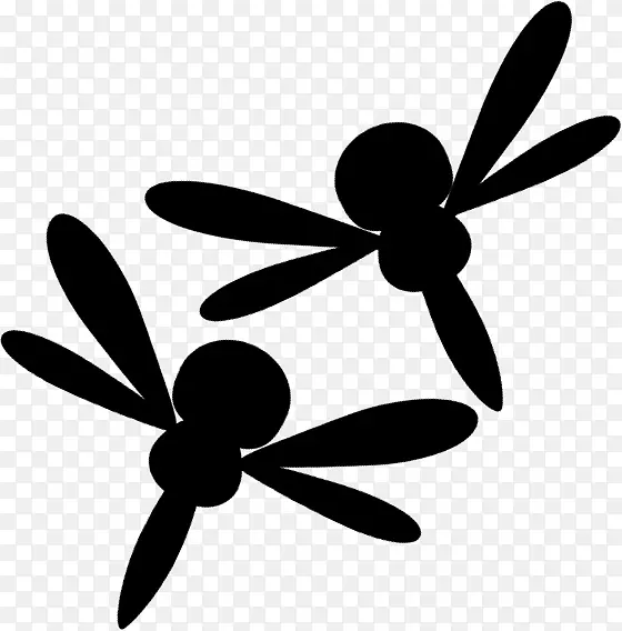 ����������Ҷ��ֲ�ﾥ-������