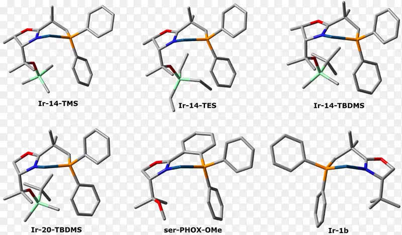 ��ͼ��/m/02csf���.���ԳƱ���-������