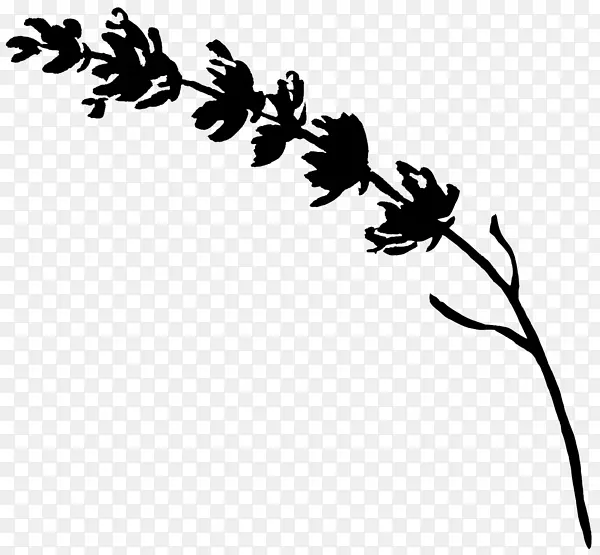 ��ֽ������ֲ�ﾥ����ֲ��-������