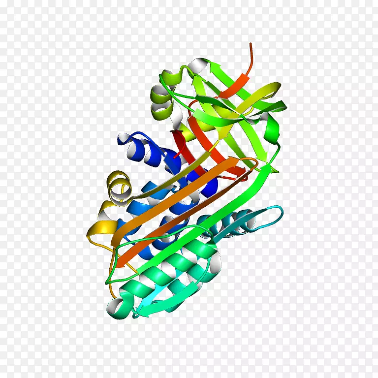 �廭������Ь��.�ǶԳ�˿��-������