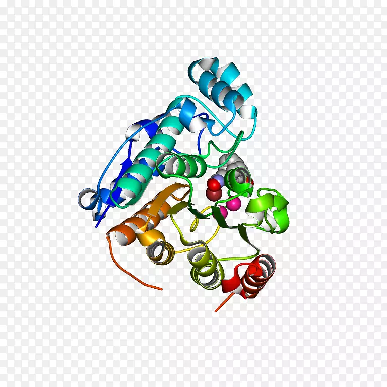 ��������Ʒ�л�����.���Գƴ�-������