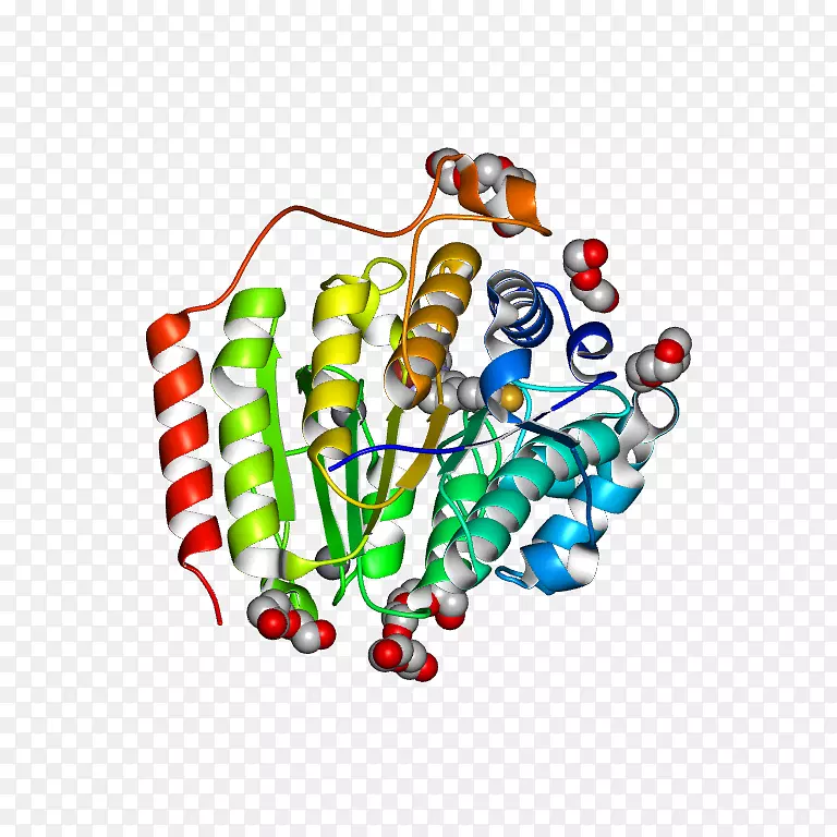 �������߲�Ʒ�����鱦.���Գ�˿��-������