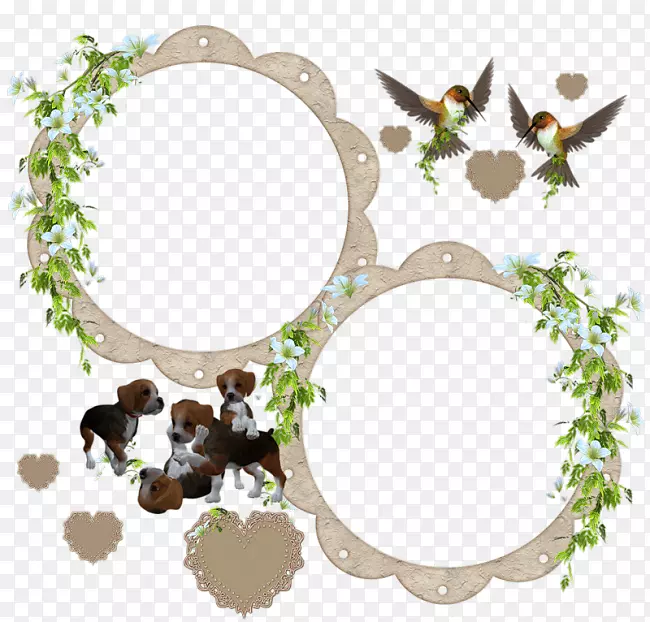 ͼ��������Ĳ���pngͼƬ����-������