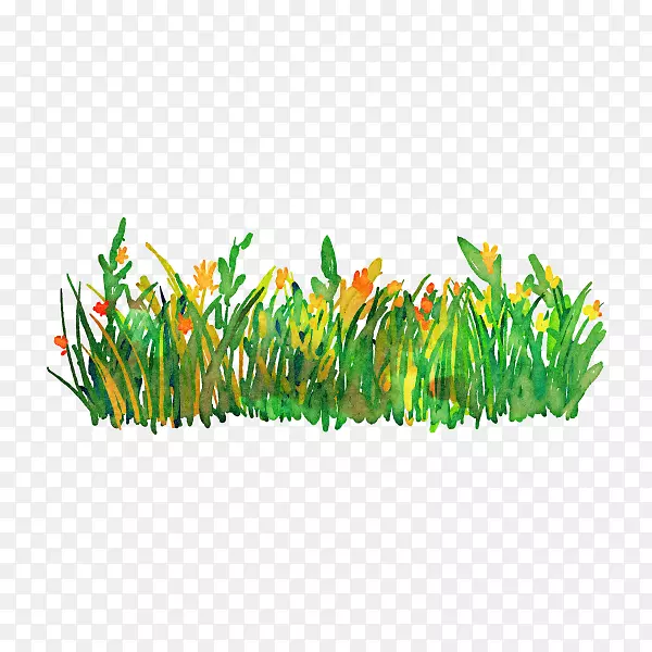 ͼ��ˮ�ʻ�������ͼ��-������