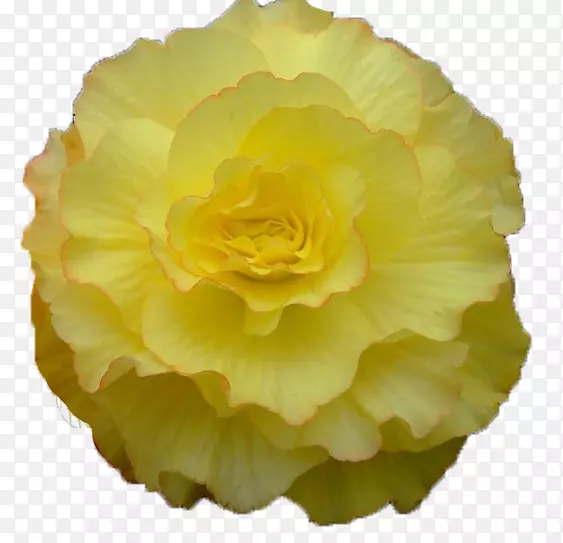 ������-�ﺣ�Ĳʴ�-������