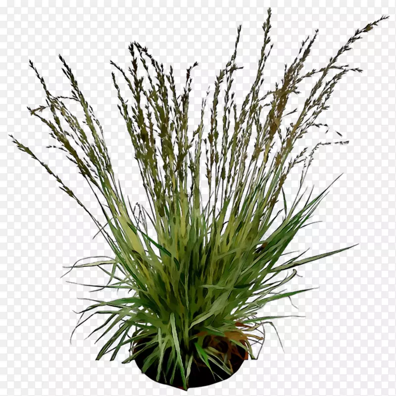 ���-������