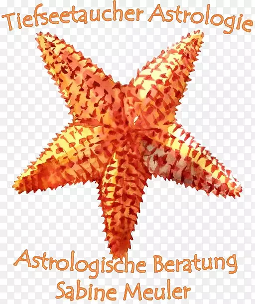 ˮ�ʻ���ͼ���˰����滭-������