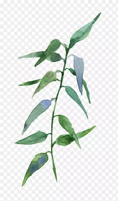 ˮ�ʻ�ͼ��pngͼƬС�廭����.ˮ�ʻ�-������