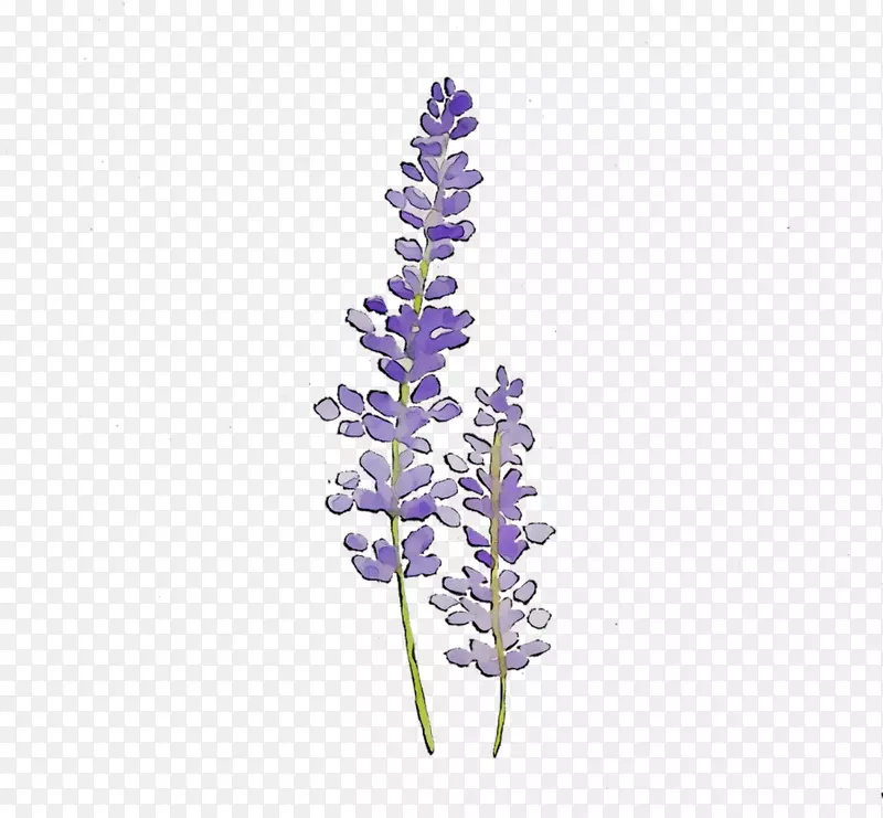 Ӣ��޹�²ݾ��л�ֲ��-������