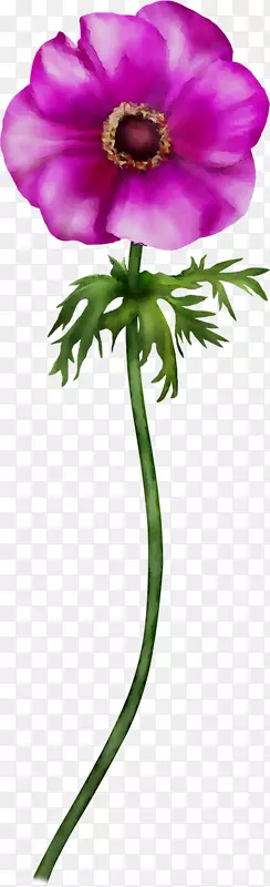 ���������л�ֲ��-������