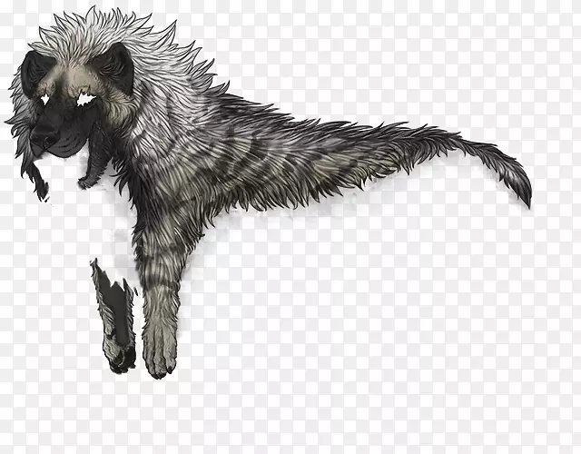 ����Ȯ�ƣ�ëƤ�����ӣ�Ұ������-����-������