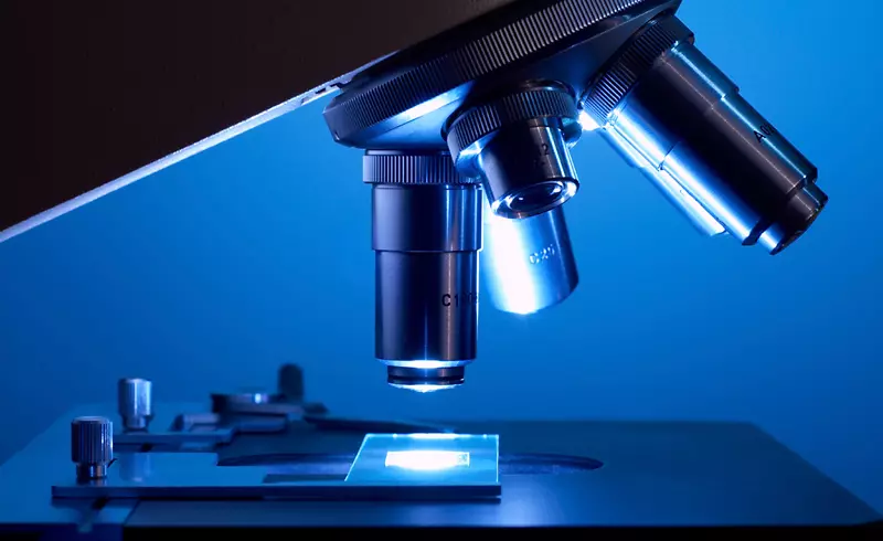 ��ѧ���������﷢���о���΢��-������