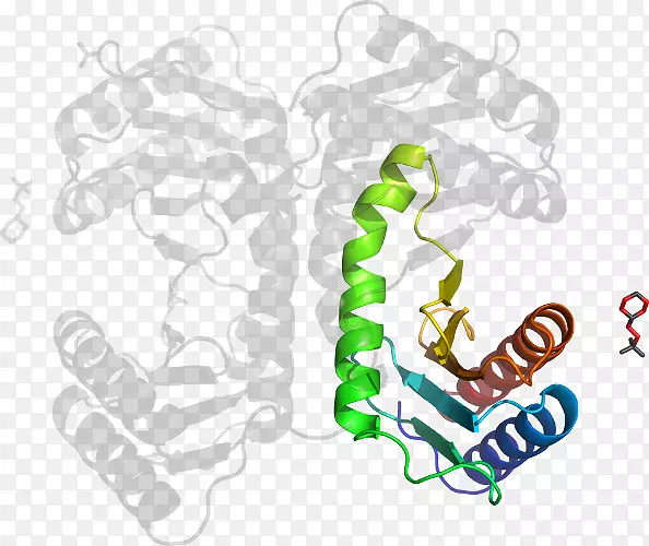 �л���������Ϊ��Ʒ������-�����ɿ�-������