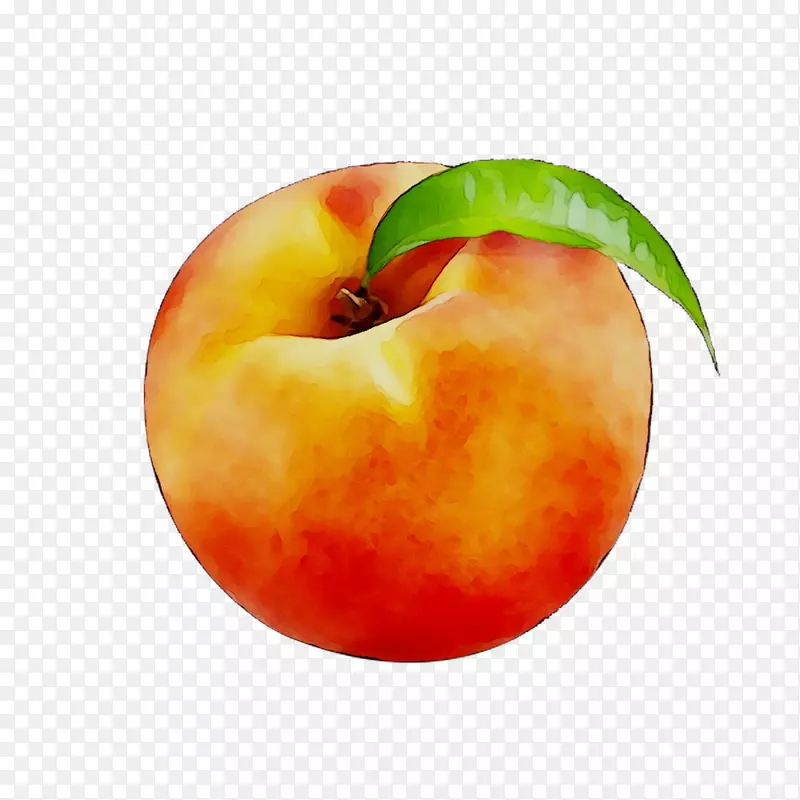 ��ʳʳƷ������ȻʳƷ-������