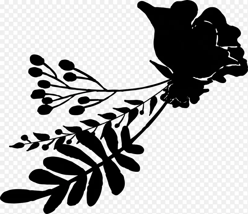 �Ӿ�������������������-������