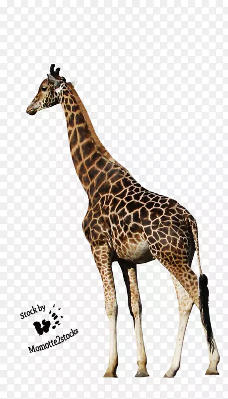 ��������¹�������������¹-������