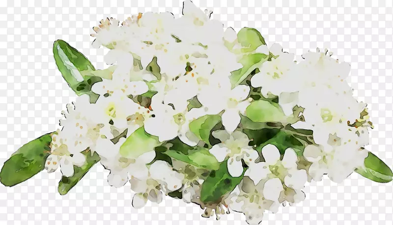 ��������л�����-������