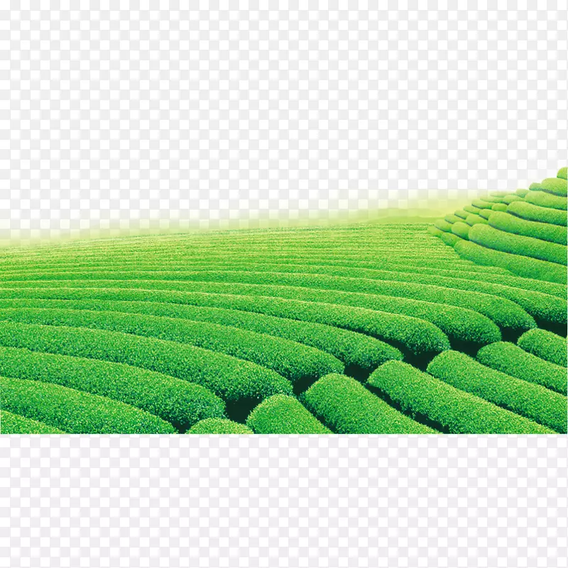 TEA������ʾ���ļ���ʽ��ʾ�ֱ��ʴ���-������